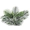 Monarch Specialties Artificial Plant, 28" Tall, Palm Tree, Indoor, Faux, Fake, Floor, Greenery, Potted, Real Touch I 9508 - alternate 3
